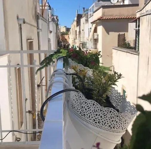 Casa Chartu -luxury House- *